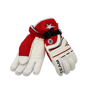 BOGNER Ski-Gloves