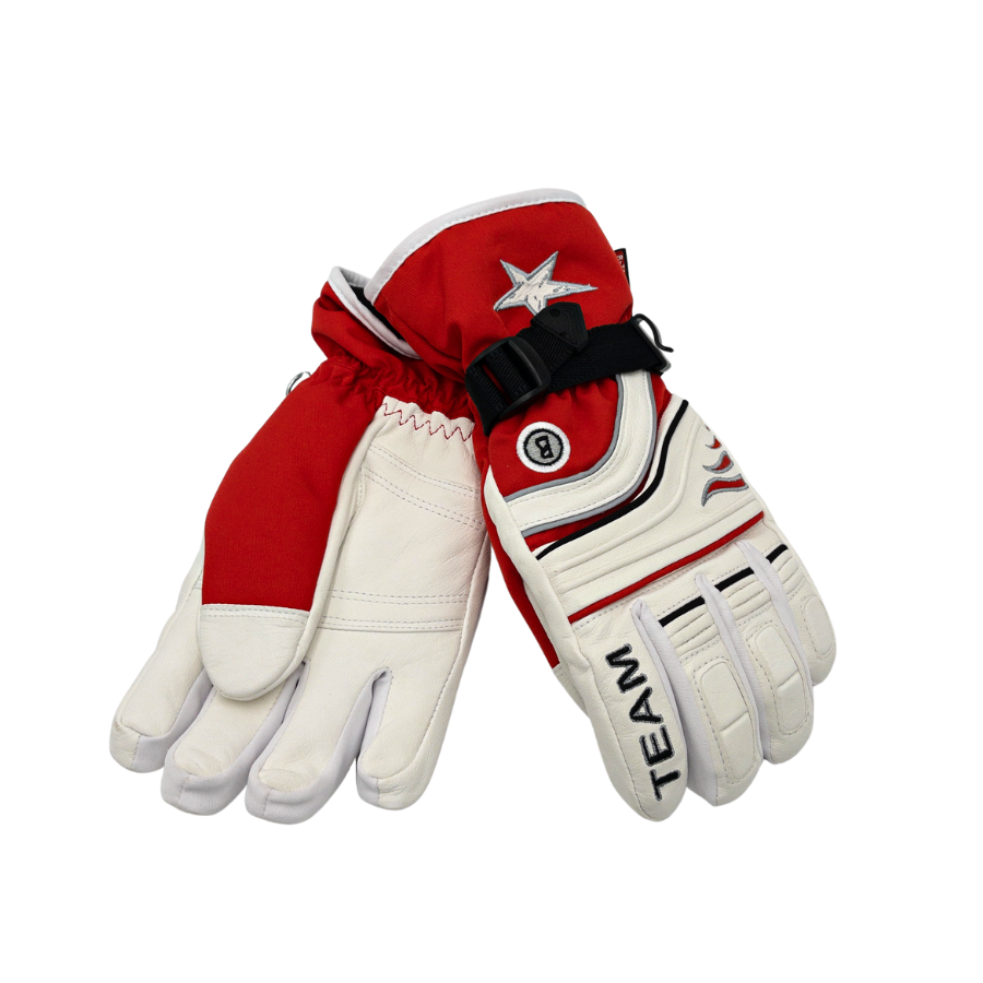 BOGNER Ski-Gloves