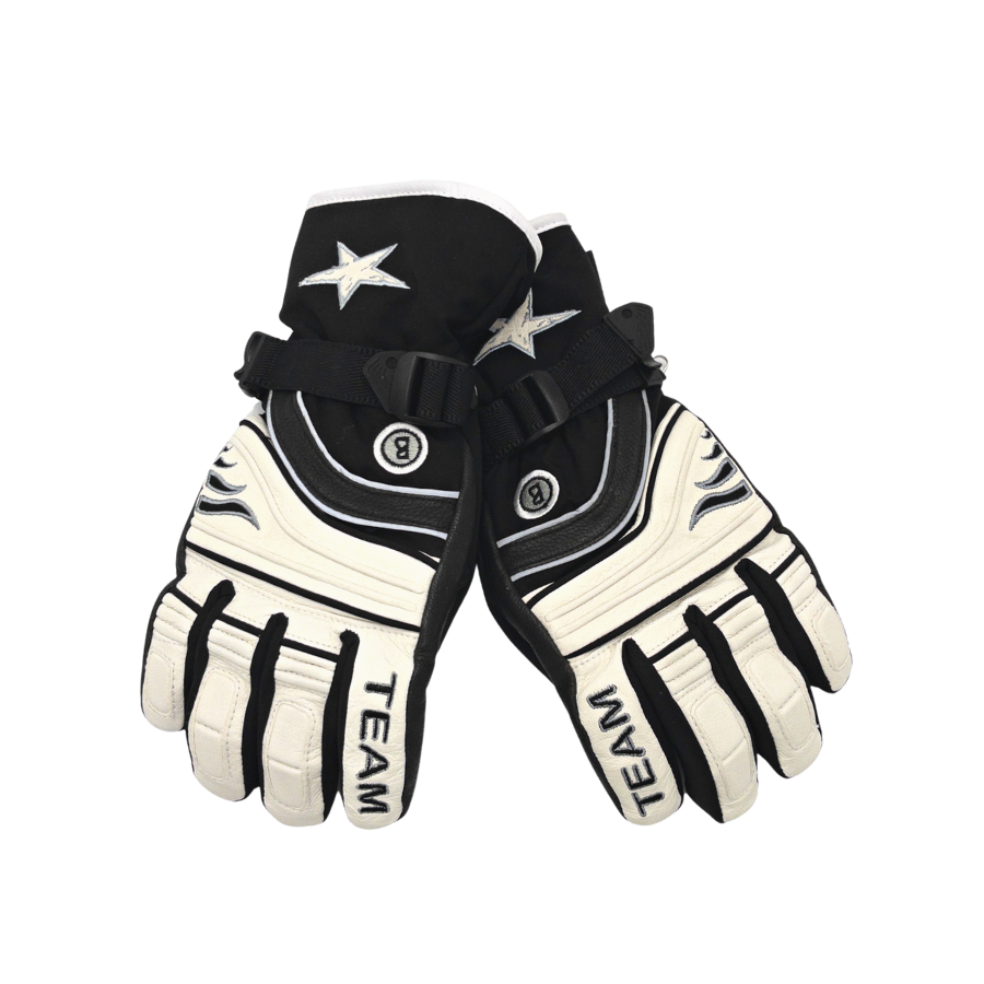 BOGNER Ski-Gloves