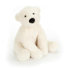 Load image into Gallery viewer, Polar TEDDY

