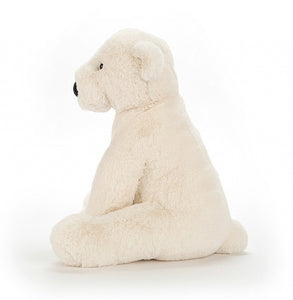 Polar TEDDY