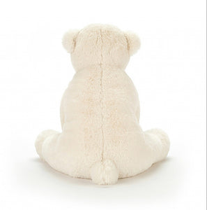 Polar TEDDY